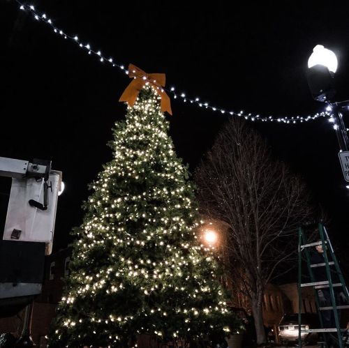A decorated Christmas tree with lights and a bow, illuminated at night, next to a ladder and street lamp.