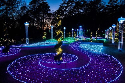 A beautifully lit garden at dusk, featuring colorful spiral patterns of blue and purple lights among trees.