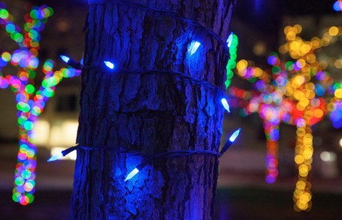 A tree wrapped in blue lights, with colorful bokeh from other illuminated trees in the background.