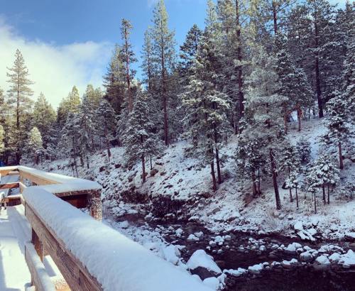 A snowy landscape with a wooden bridge overlooking a river, surrounded by tall evergreen trees.