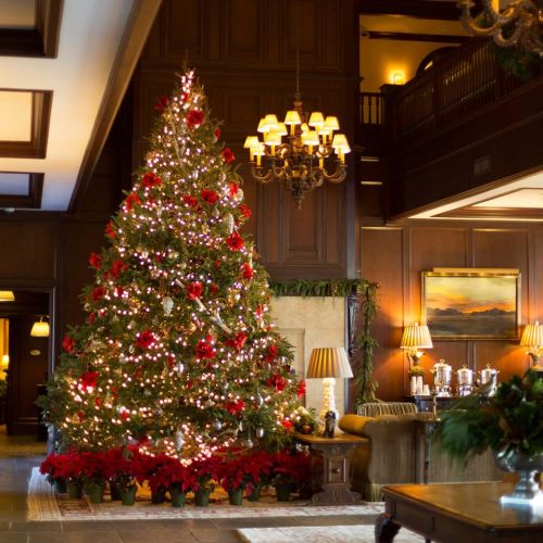 A beautifully decorated Christmas tree with red ornaments and lights, surrounded by festive greenery in a cozy interior.