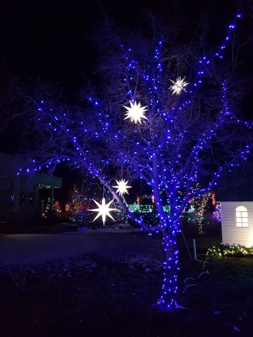 A tree adorned with blue lights and large star decorations, surrounded by colorful holiday lights at night.
