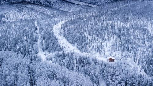 Aerial view of a snowy landscape with a small cabin surrounded by dense evergreen trees and mountains in the background.