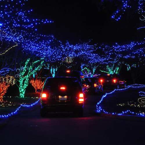 A car drives through a festive display of colorful holiday lights illuminating trees and surroundings at night.