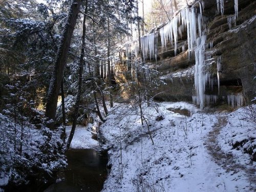 A snowy forest scene with icicles hanging from rocky cliffs and a winding creek surrounded by trees.