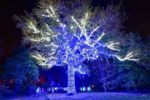 A large tree illuminated with blue and white lights, surrounded by softly lit greenery at night.