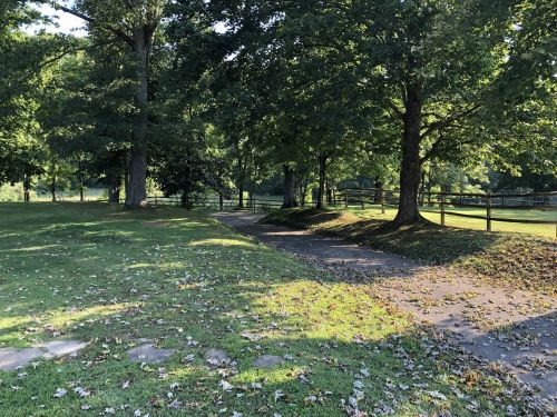 A peaceful park scene with trees, grass, and a winding path surrounded by fallen leaves and a wooden fence.
