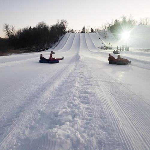 Two people sledding down a snowy hill, with trees and a bright sun in the background.