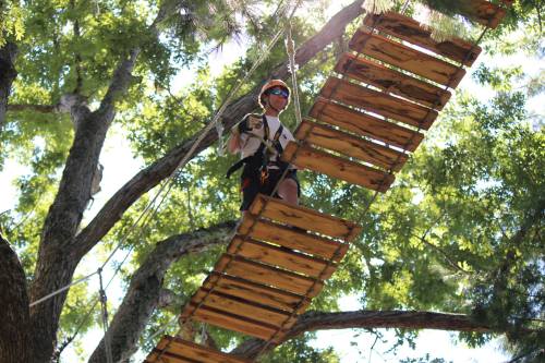 A person in safety gear stands on a wooden rope bridge high in a tree, surrounded by green foliage.