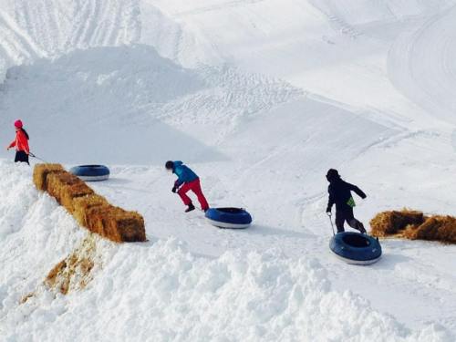 Three people slide down a snowy hill on inner tubes, with hay bales lining the slope.