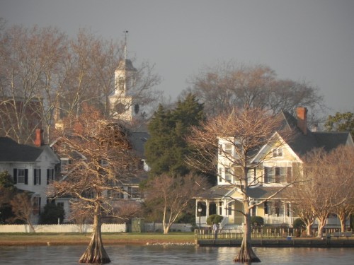 A serene waterfront scene featuring two cypress trees, historic homes, and a church steeple in the background.