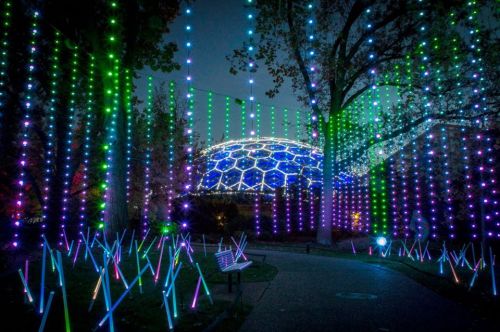 Colorful lights hang in vertical strands, illuminating a park with a futuristic dome in the background at night.