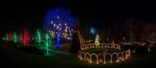 A beautifully lit park at night, featuring colorful trees and arches adorned with festive lights.