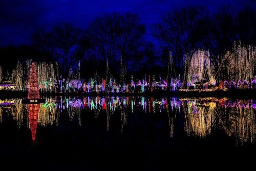 A serene night scene with colorful holiday lights reflecting on a calm lake, surrounded by trees.