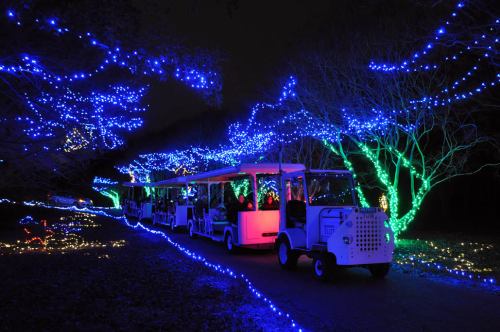 A festive train decorated with colorful lights travels through a park illuminated by blue and green holiday decorations.