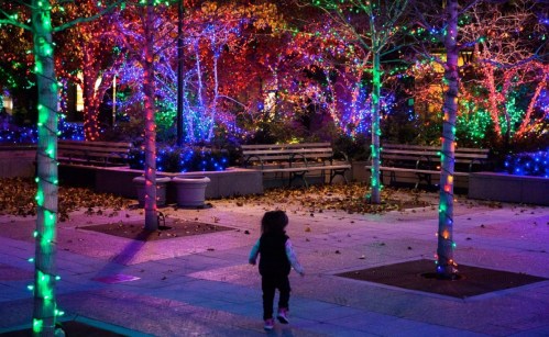 A child walks through a park illuminated by colorful holiday lights on trees, creating a festive atmosphere.
