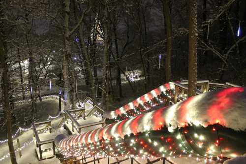 A snowy landscape at night, featuring a brightly lit slide and trees adorned with festive lights.