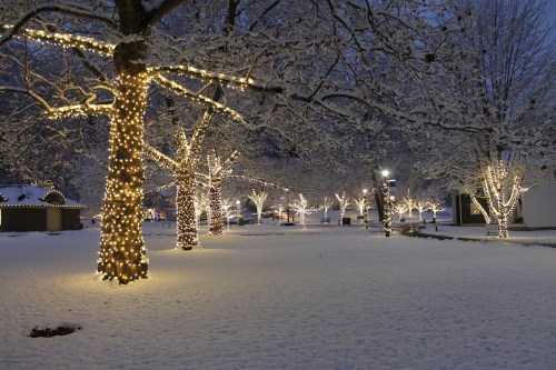 A snowy park at dusk, with trees wrapped in warm white lights, creating a serene winter atmosphere.