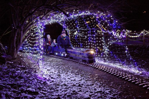 A family rides a miniature train through a tunnel of colorful holiday lights in a snowy setting at night.