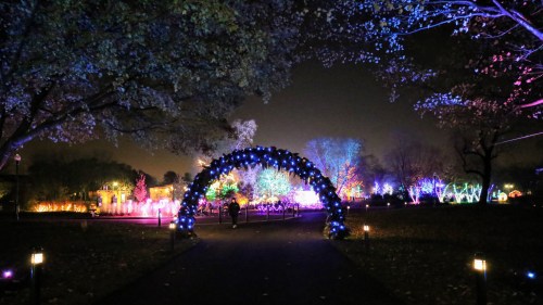 A nighttime scene of a park illuminated with colorful lights, featuring an archway adorned with blue decorations.