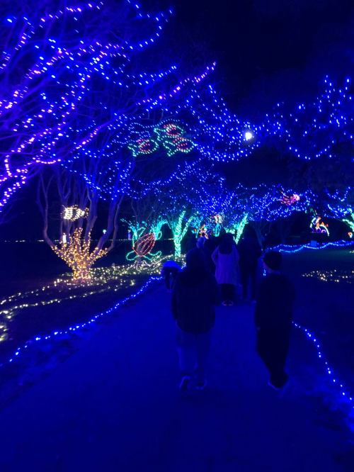 A pathway illuminated by vibrant blue and green lights, with people walking through a festive, decorated landscape.