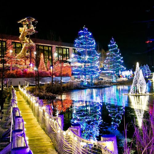 A serene night scene featuring illuminated trees and a pathway beside a reflective pond, surrounded by festive lights.