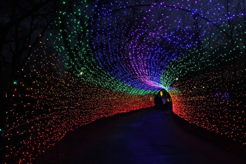 A colorful tunnel of lights in vibrant hues of green, blue, purple, and red, creating a magical atmosphere.