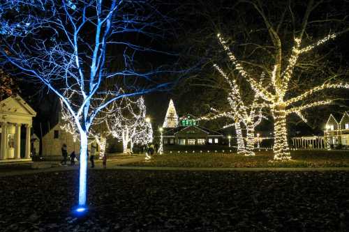 A park at night adorned with colorful holiday lights on trees and buildings, creating a festive atmosphere.