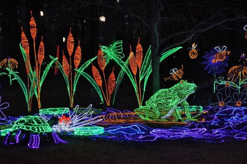 Colorful illuminated decorations of frogs, turtles, and flowers in a pond setting, glowing against a dark background.