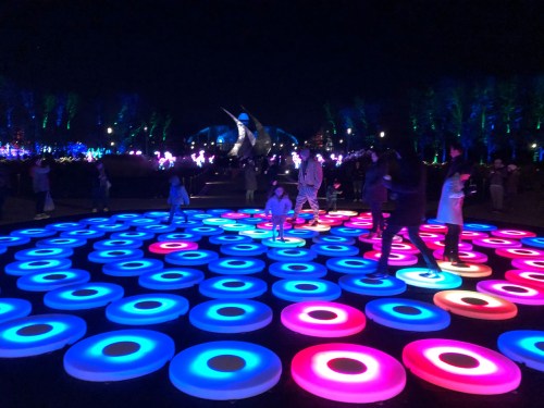 Colorful illuminated circles on the ground with people walking and playing in a vibrant nighttime setting.