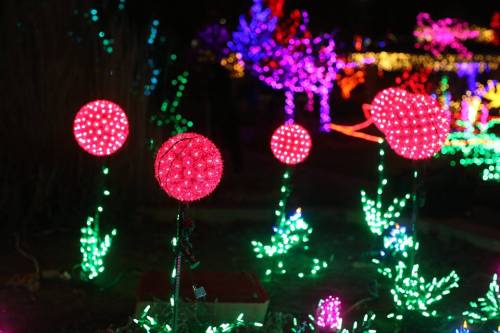 Colorful illuminated flowers made of lights, glowing in a festive garden setting.