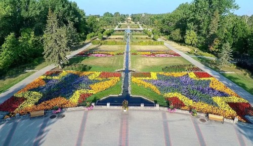 Aerial view of a vibrant flower garden with colorful patterns and a central water feature, surrounded by greenery.
