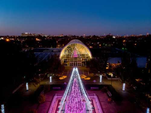 A brightly lit Christmas tree with pink lights stands in a garden, with a glass structure and city skyline in the background.