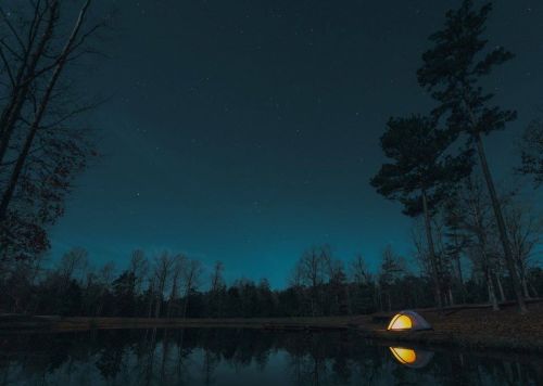 A serene night scene with a glowing tent by a calm pond, surrounded by trees and a starry sky.