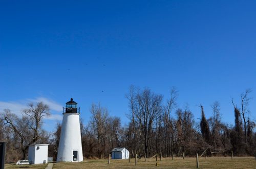 A white lighthouse stands against a clear blue sky, surrounded by bare trees and a grassy area.