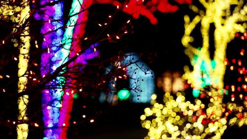 Colorful holiday lights illuminate trees and surroundings, creating a festive and vibrant atmosphere at night.