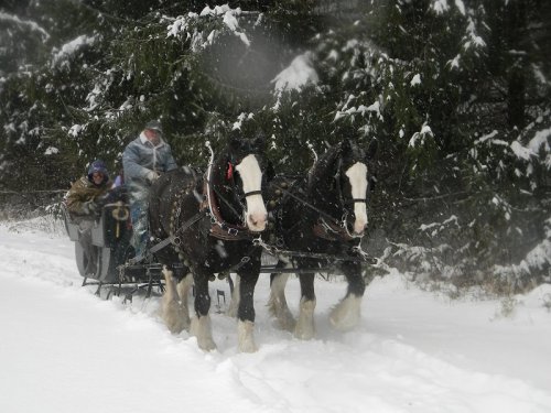 A horse-drawn sleigh travels through a snowy landscape, with two horses and passengers bundled up against the cold.