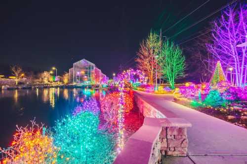 Colorful holiday lights illuminate a pathway along a pond, with trees and plants glowing in vibrant hues at night.