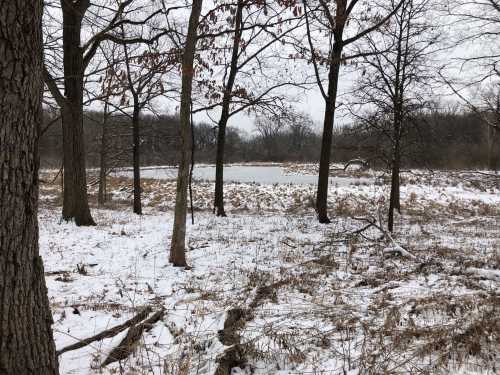 A snowy landscape with bare trees surrounding a small pond in a grassy area.