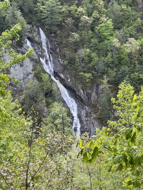 A cascading waterfall flows down a rocky cliff, surrounded by lush green trees and foliage.