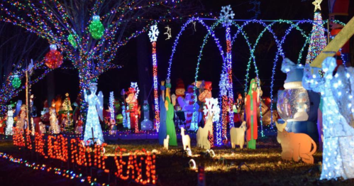 Colorful holiday lights decorate a yard with festive figures, including snowmen, animals, and Christmas decorations.