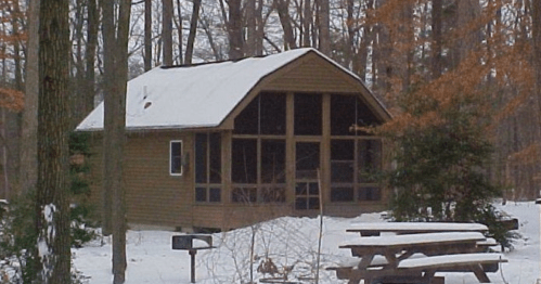 A cozy cabin in a snowy forest, surrounded by trees and a picnic area with benches.