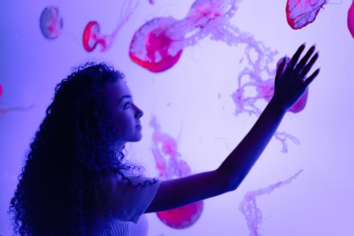 A woman with curly hair reaches out to a glowing jellyfish display in a dark, colorful environment.