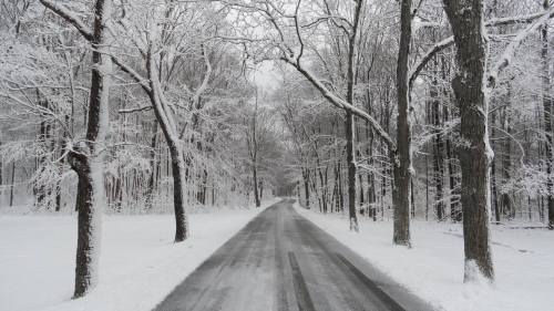7 Of The Best Winter Hikes In Indiana You Can Do Right Now