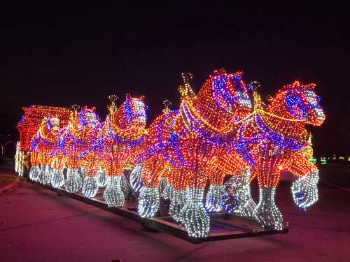 A colorful display of illuminated horses pulling a festive carriage, glowing against a dark night sky.