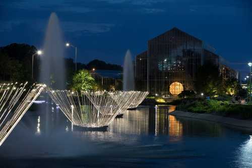 A serene night scene featuring illuminated fountains in a pond, with a glass building in the background.