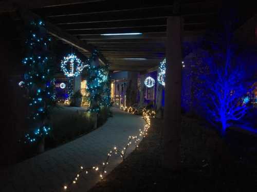 A pathway adorned with blue and white holiday lights, leading through a decorated outdoor area at night.