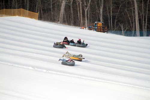 A group of people tubing down a snowy hill, enjoying a winter day outdoors. Trees and a wooden structure are in the background.