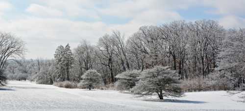 A snowy landscape with frosted trees under a blue sky, creating a serene winter scene.