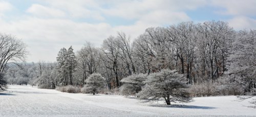 A snowy landscape with frosted trees under a blue sky, creating a serene winter scene.